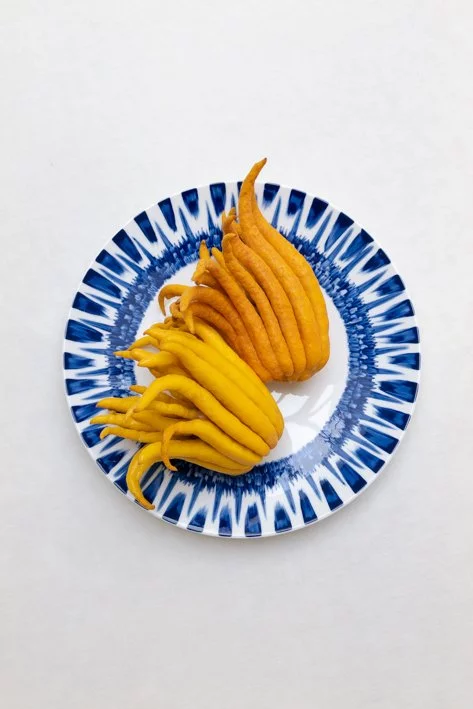 Différences entre clémentines, mandarines et oranges : les Agrumes, une  grande famille originaire d'Asie - Quoi dans mon assiette