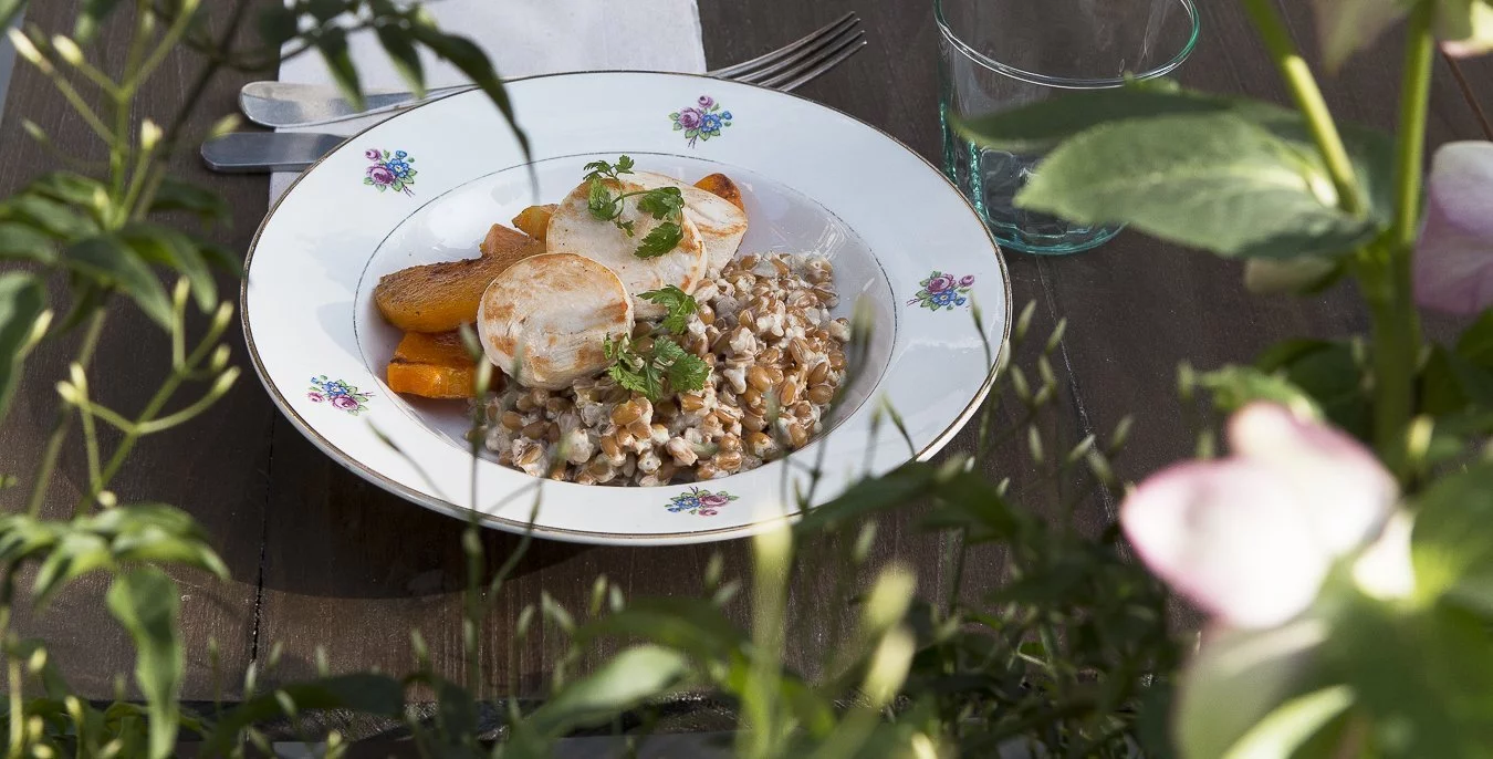 assiette de légumes et poulet