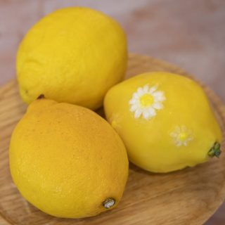 citron-Simon-porte-jacquemus-cedric-grolet
