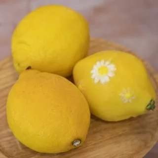 citron-Simon-porte-jacquemus-cedric-grolet