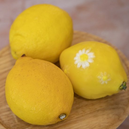 citron-Simon-porte-jacquemus-cedric-grolet