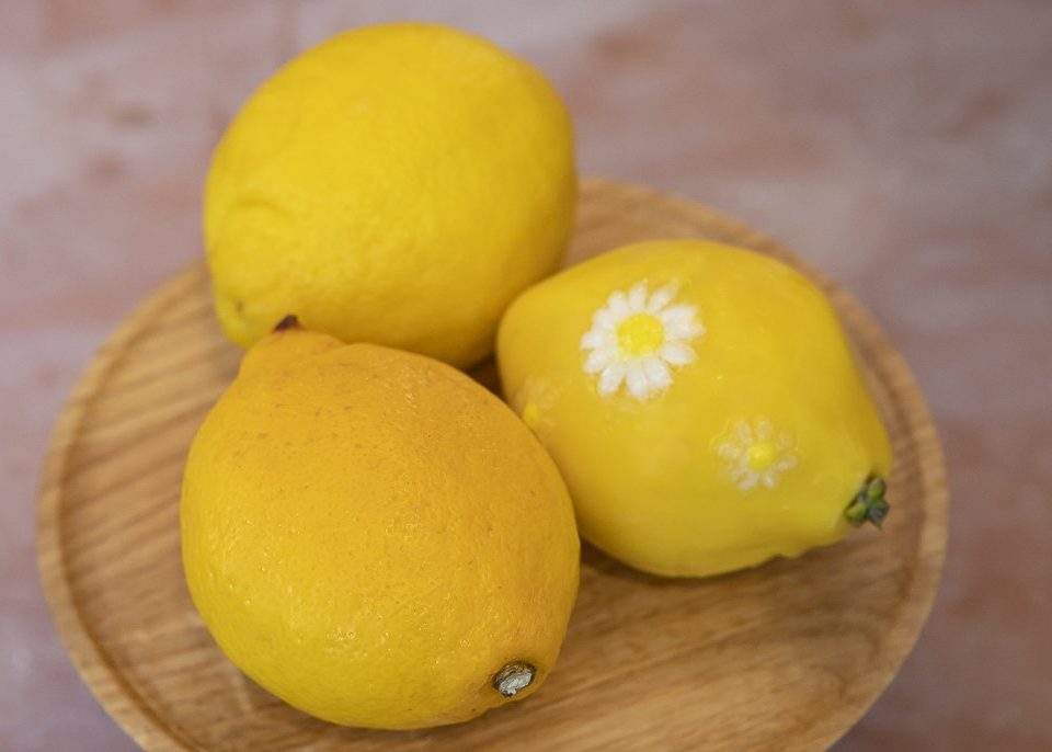 Citron Cafe Restaurant Simon Porte Jacquemus Kaspia