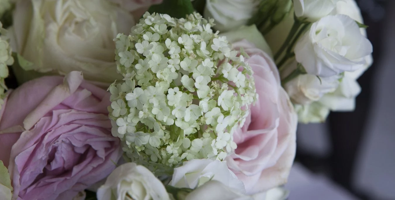 fleurs du restaurant Pertinence