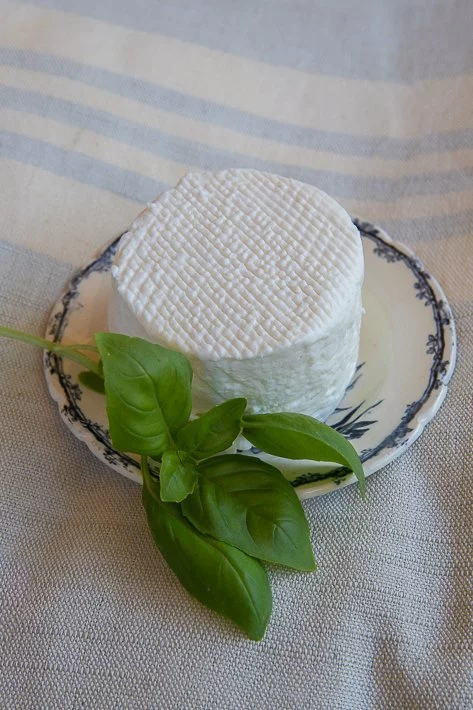 fromage de chèvre frais et basilic