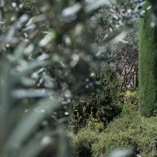 La Bastide de Moustiers, Alain Ducasse en Provence