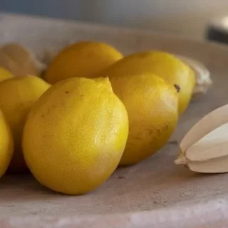 Maison Jouvaud Pâtisserie et fruits confits